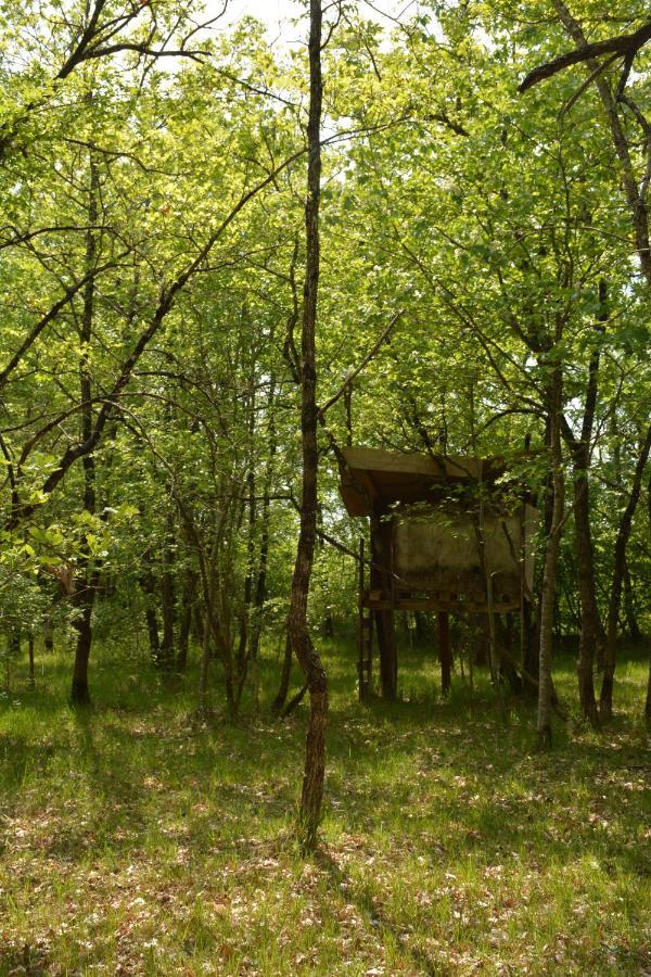 オルネー Les Noyers Aulnay Bed & Breakfast エクステリア 写真